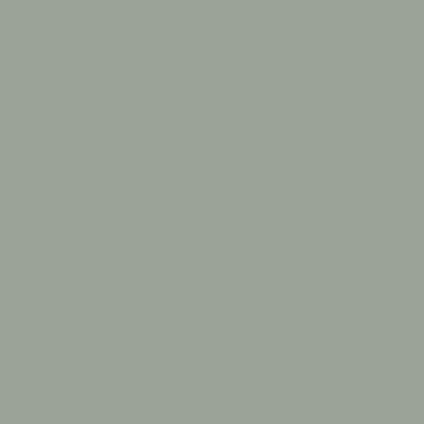 Color Your World M 1517 Willow Green Precisely Matched For Paint