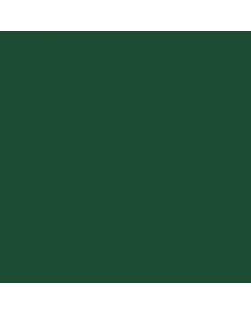 GM Dark (Woodland) Green 46, 9V5 - #333269